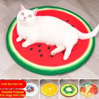 Pet Ice Pad Summer Cat  Cooler Pad Bite Resistant Cooler Kennel Sleeping Dog Ice Pad