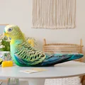 parrot ame
