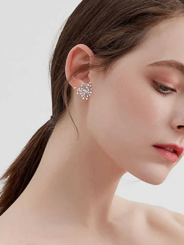 Nebula earrings women's niche light luxury high-end temperament atmospheric earrings