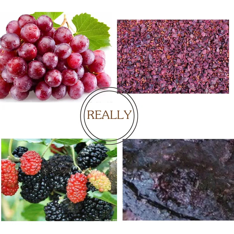 Máquina exprimidora hidráulica comercial de uva, frutas y verduras, prensa en frío, Extractor de naranjas, acero inoxidable, automática