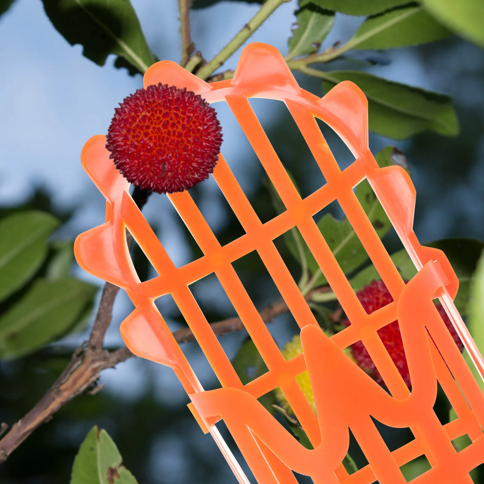 2Pcs Fruit Picker Baskets Strong Bearing Capacity Garden Fruit Catchers Labor-Saving Orchard Tools for Pears Orange Mango