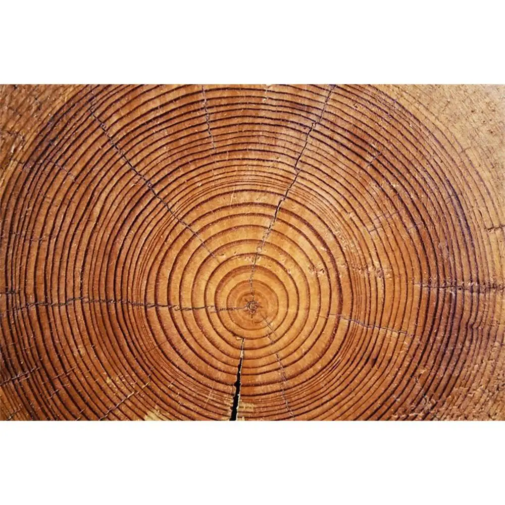 ไม้ Growth แหวนตกแต่งการถ่ายภาพพื้นหลังต้นไม้ Board วอลล์เปเปอร์ Party ฉากหลังถ่ายภาพสตูดิโอถ่ายภาพ Props