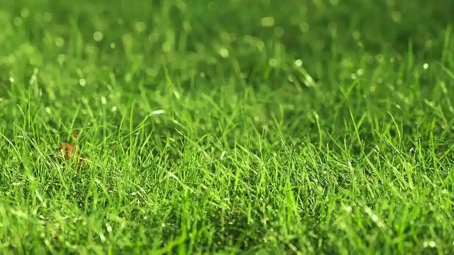 30 mm motorkoelventilator voor 3650 3660 3670 540, efficiënte aluminium koellichaam, RC auto vrachtwagen upgrade onderdelen, D361