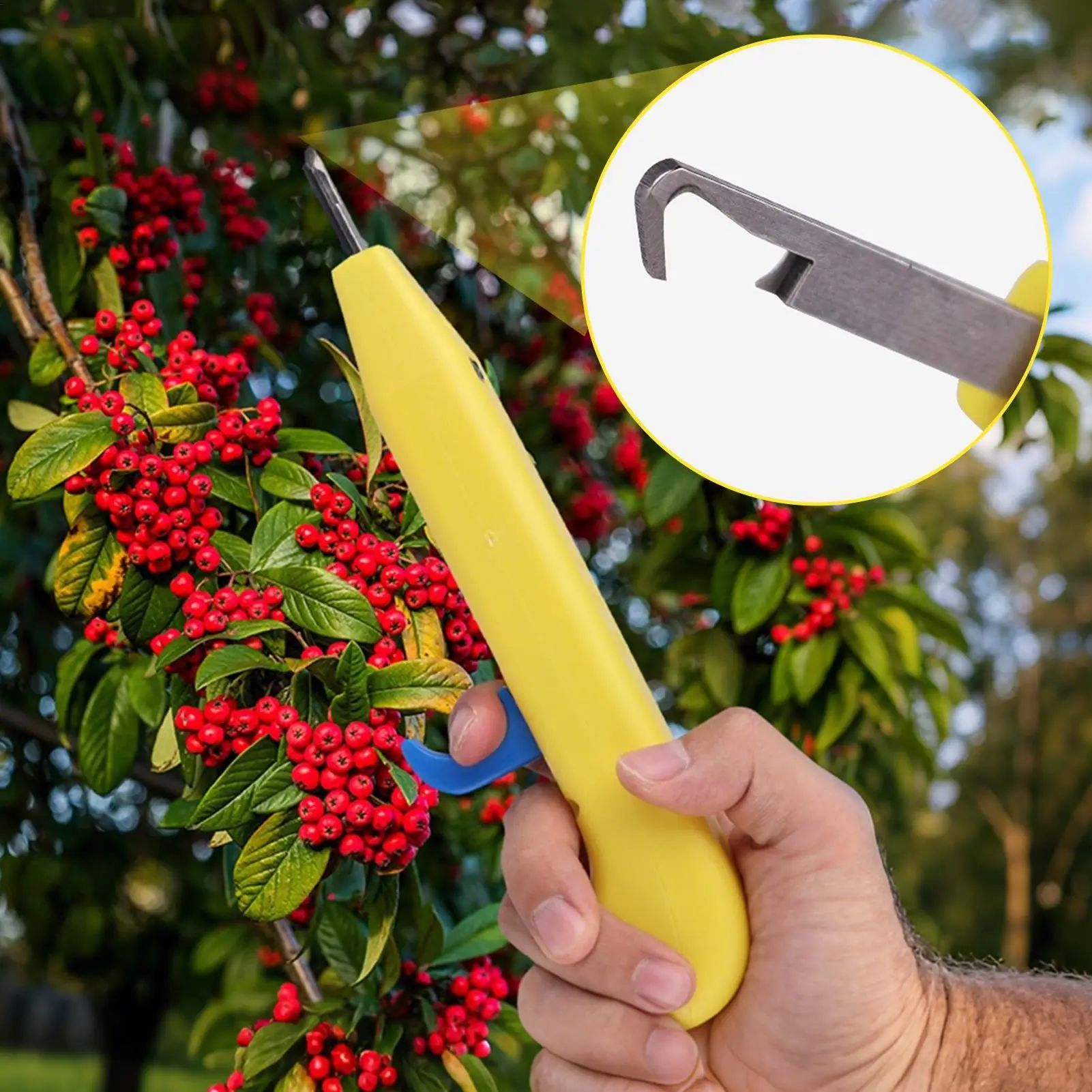 Garden Pruning Shears Handheld Scissors Curved Head Garden Cutters For Tea Trimming Branch Floral Rose Shrub Grass Gardener