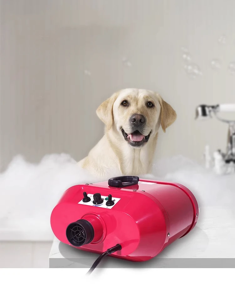 Double motor high power golden hair dryer pet shop hair dryer