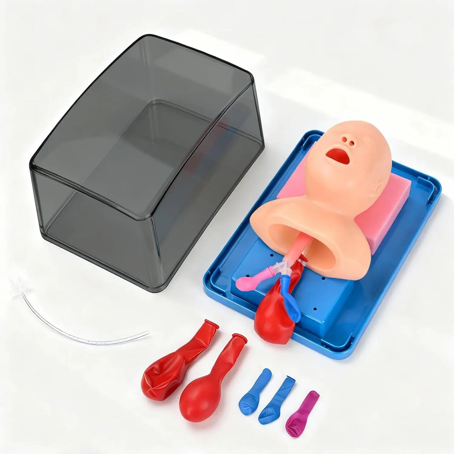 Ultrassist Infant Airway Management Trainer Pediatric Intubation Manikin Tracheal Child Airway model for Intubation EMS Training