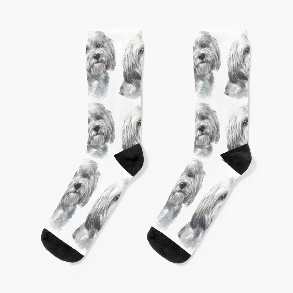 Cute White Havanese Watercolor Art Socks ankle compression Stockings compression men cotton high quality Socks For Men Women's