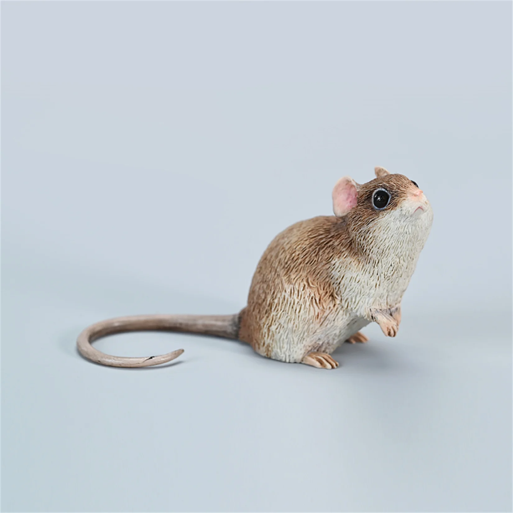 Jxk 1/1 Fancy Rat Model Kleine Muis Realistische Dieren Figuur Tafereel Bureaucollectie Decoratie Verjaardagscadeau Fotografie Rekwisieten