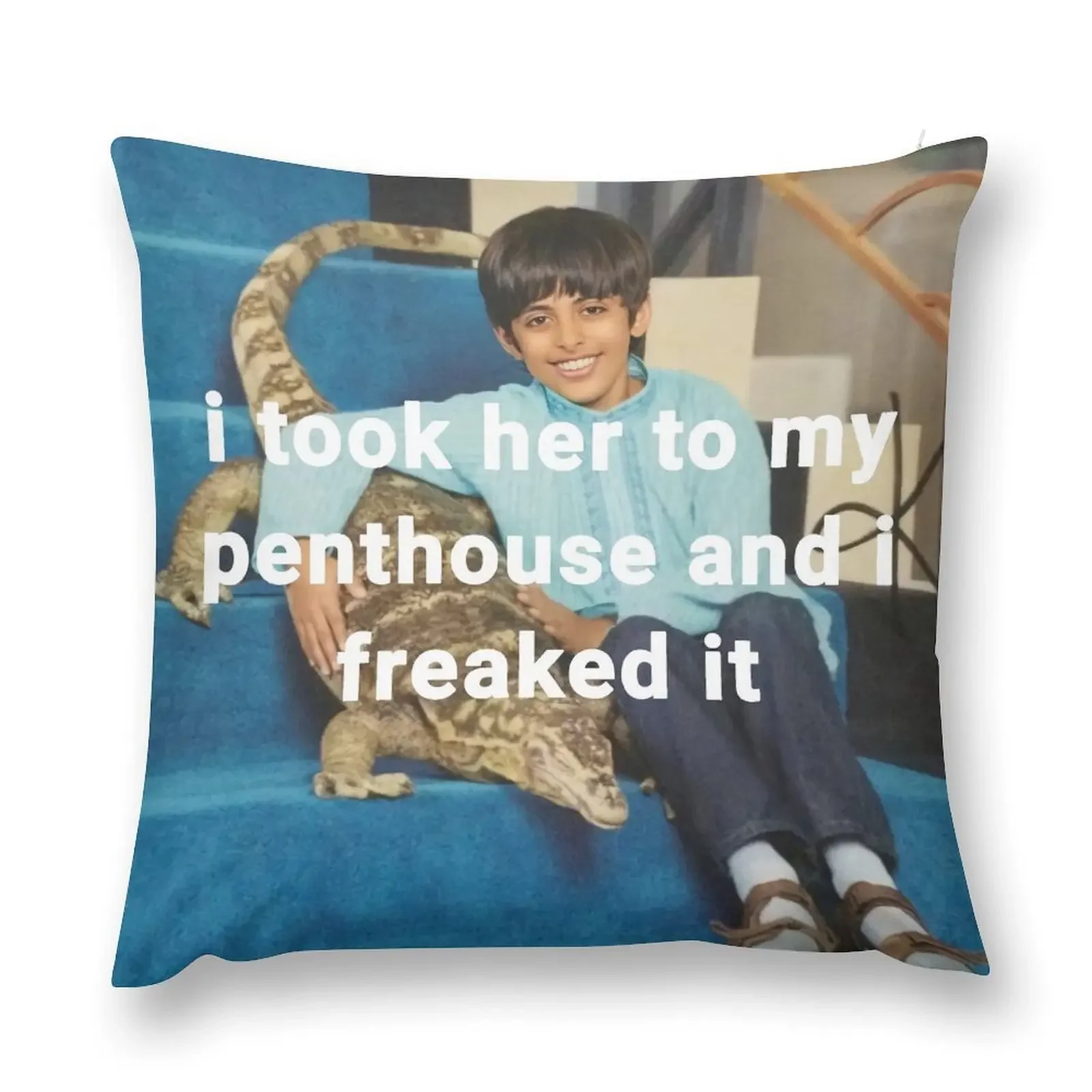 Ravi I Took Her To My Penthouse And I Freaked It Throw Pillow autumn pillowcase bed pillows Ornamental Pillow pillow