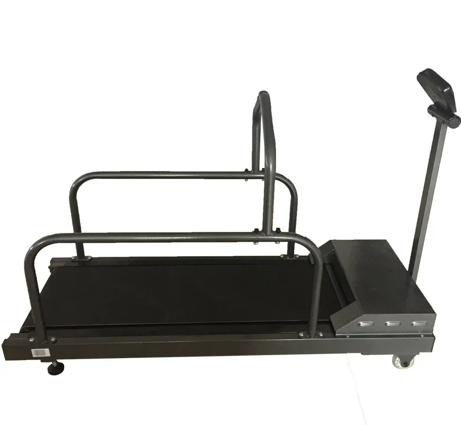 Pet Animals use treadmills that can electrically lift and lower to adjust their height and speed for dog health