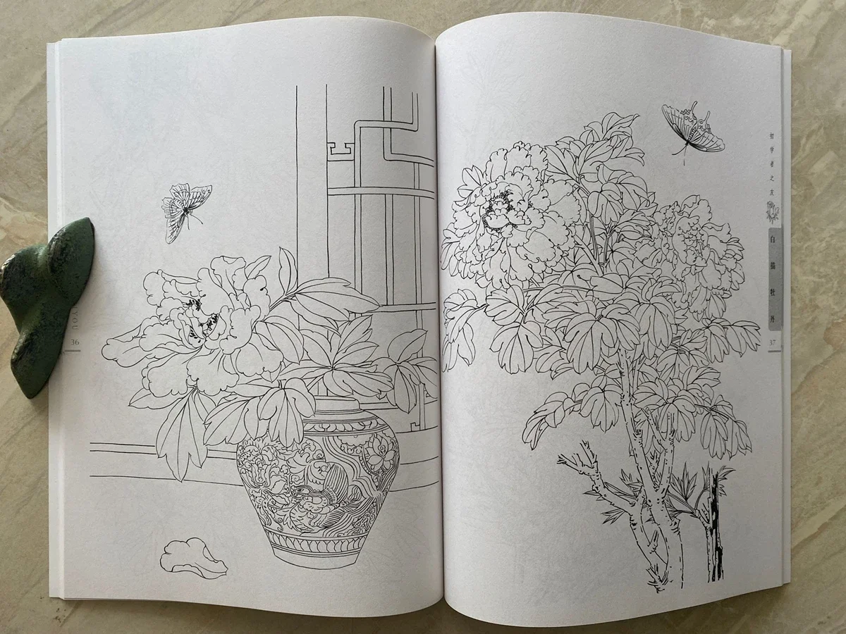 Chinese Painting Sumi-e Beginner Outline Sketch Tattoo Reference Book Peony Line Drawing