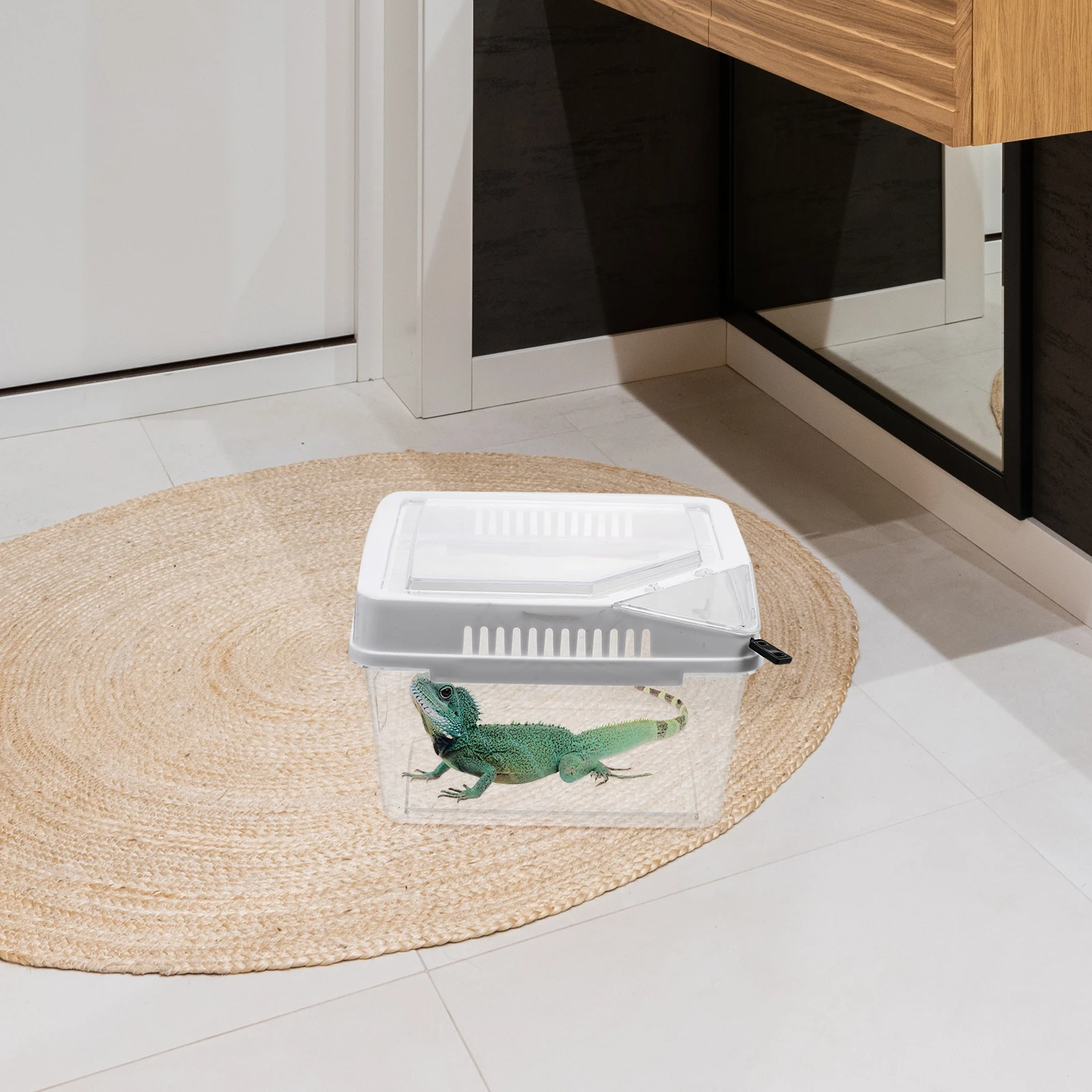 

Reptile Feeding Box Transparent Durable Plastic Reptile Breeding Container Anti-Escape Case for Small Crawling Pets Lizards