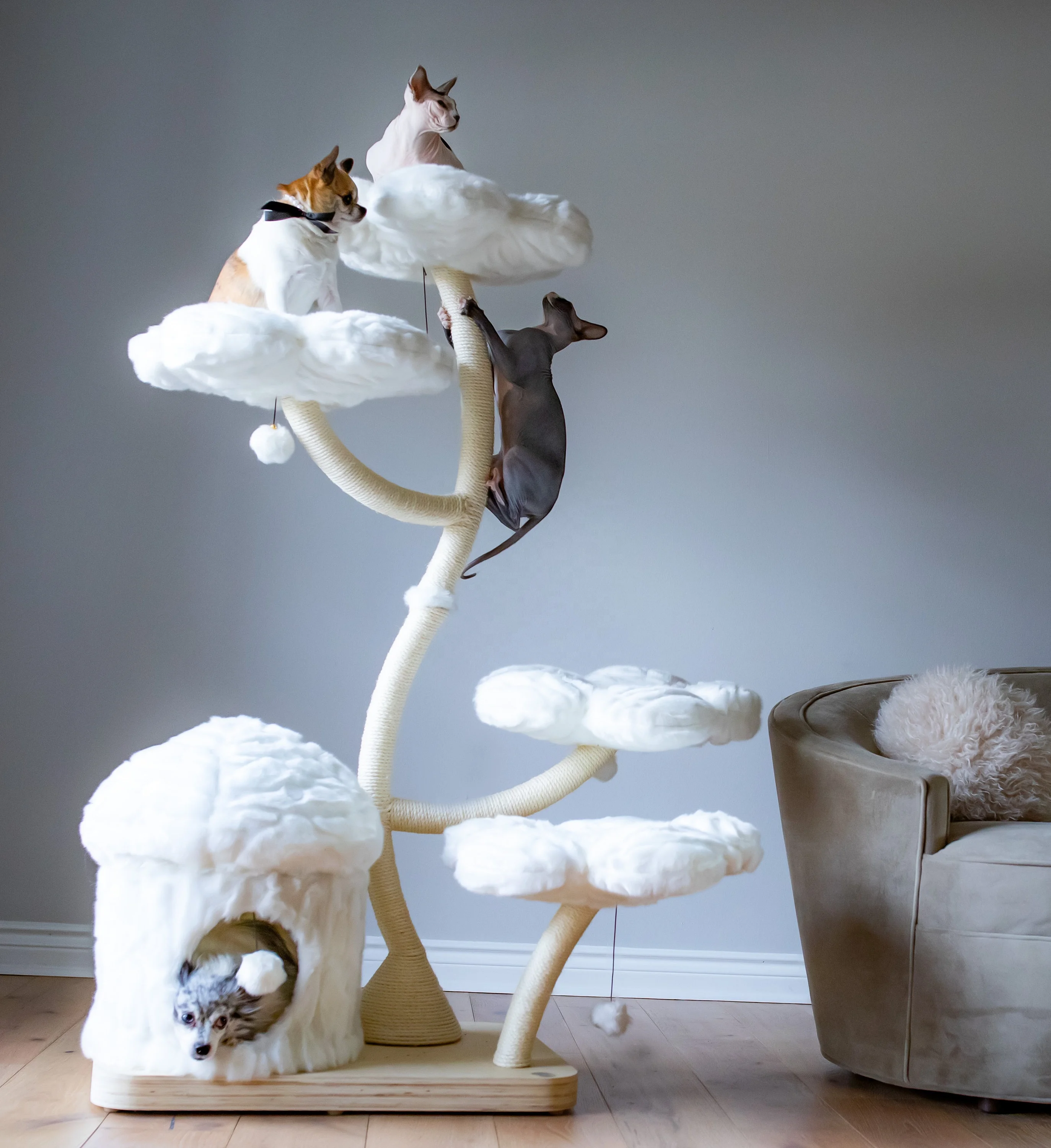 

Scratch-Resistant New Fashion Cat Shelf Freestanding Cat Tree Cat Climbing Frame