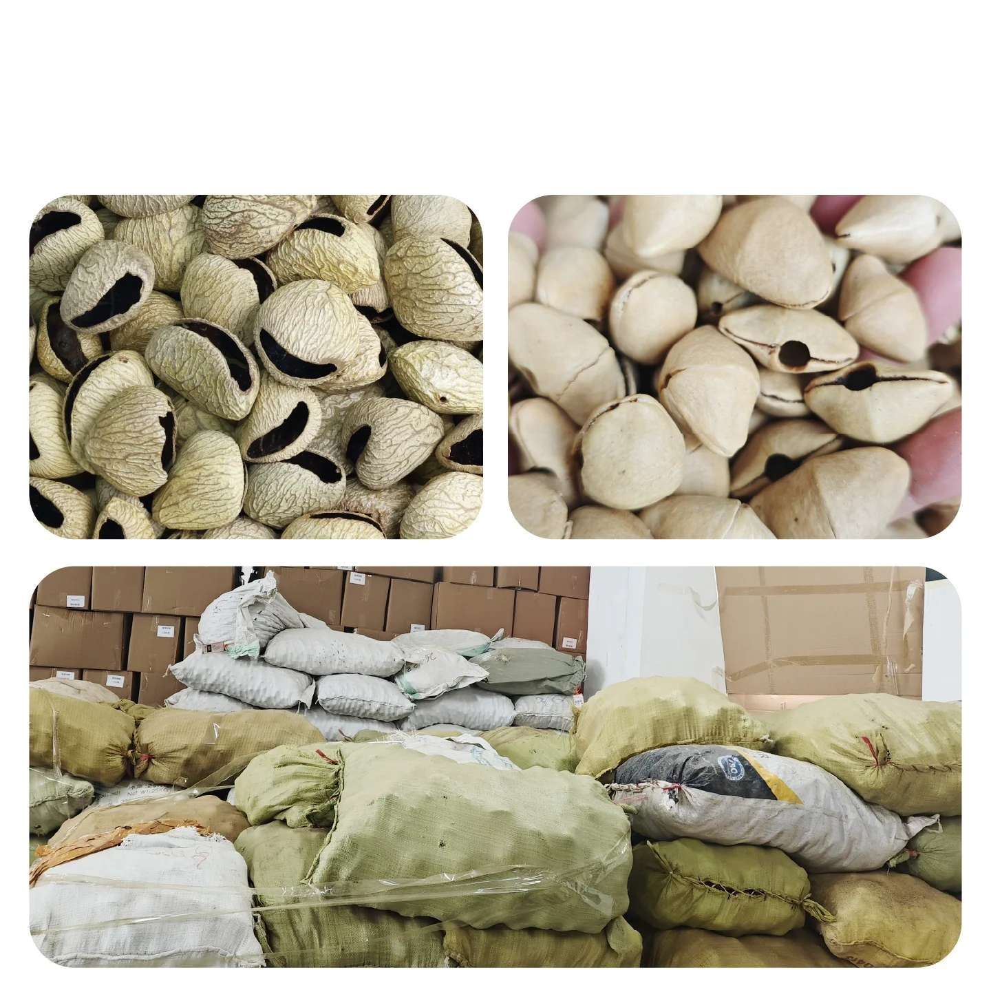 Aksesoris Gantung Tas Buatan T - Home Decor Duck ulasan dan harga