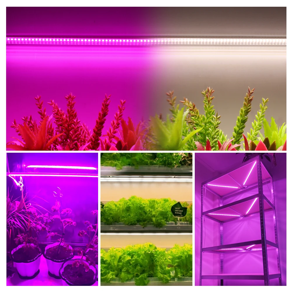 Barra de luz LED de espectro completo para cultivo de plantas, lámpara Phyto de 50cm para plantas, flores vegetales, tienda de invernadero, 220 K,