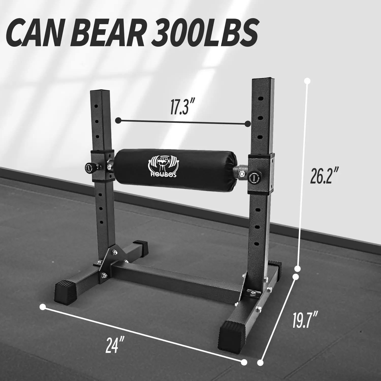 Home Bodyweight Training, Steel, Silver, 9 Adjustable Roller Heights and Comfortable Padding