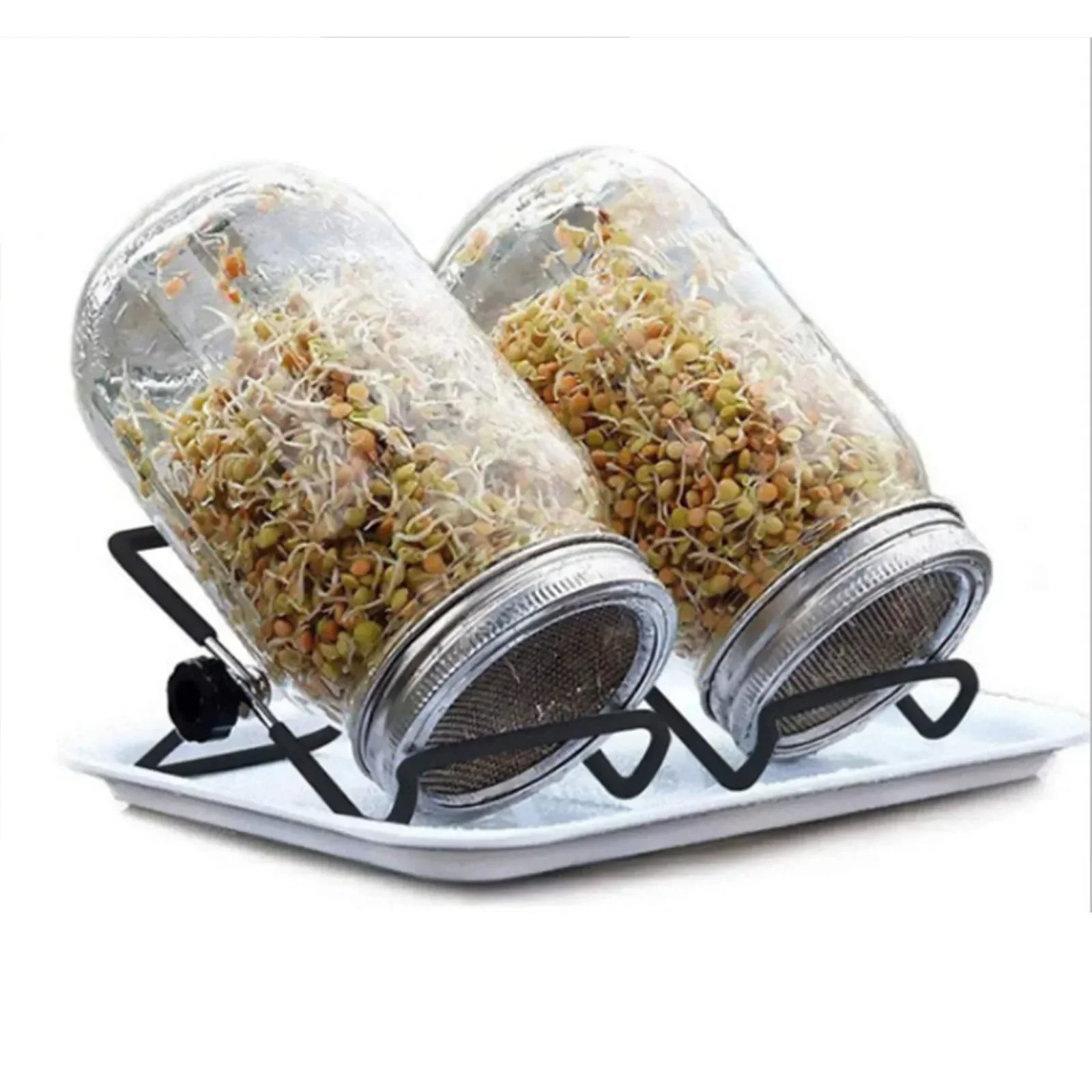 

Garden Tool Prout Jar Germination Jar Set Germinator Set Sprout Jar Sprouting Lids Garden Sprout Jar Germination Cover