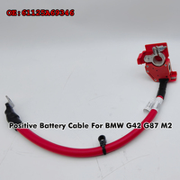 BF 61125A69346 Positive Battery Fuse Cable For BMW G42 G87 M2 OE Number 61125A0E460 Cable Battery Connector 5A69346-02
