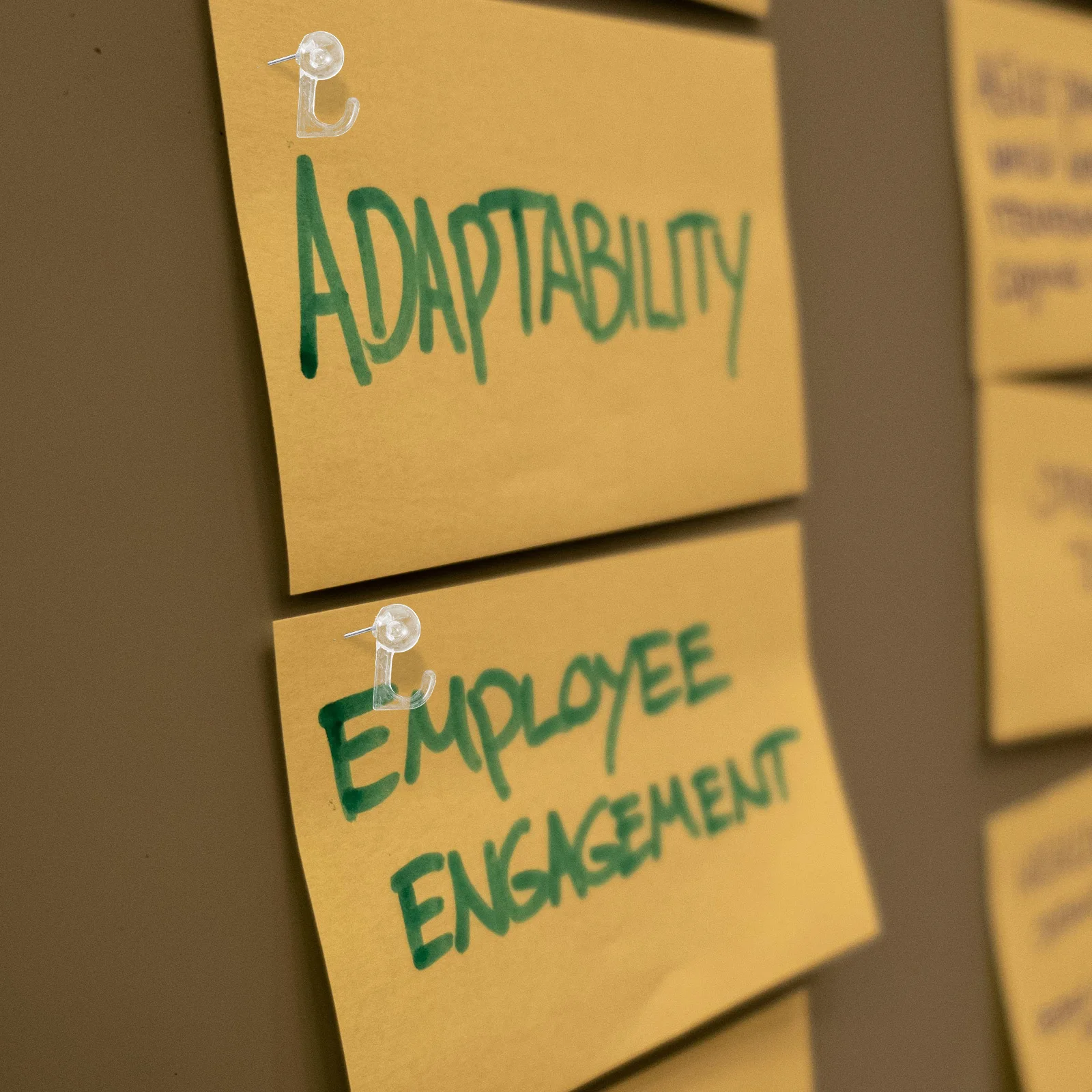 100 Pcs Thumb Tacks for Hanging Pictures Clear Decorative Wall Hanger Thumbtacks Bulletin Board Hooks