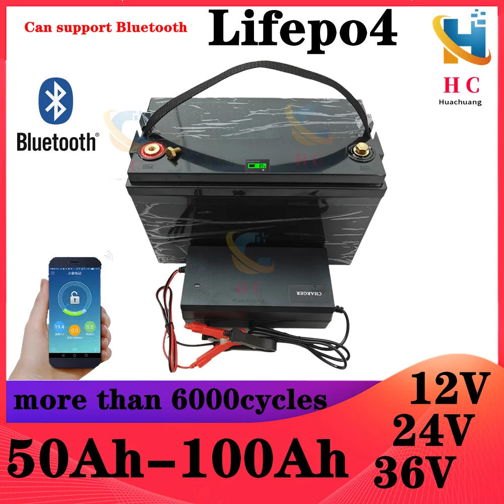 12V 100AH 120Ah 150Ah 24V 36V 40Ah 50AH 60Ah 80Ah lifepo4 lithium battery deep cycle batteries bluetooth BMS with charger