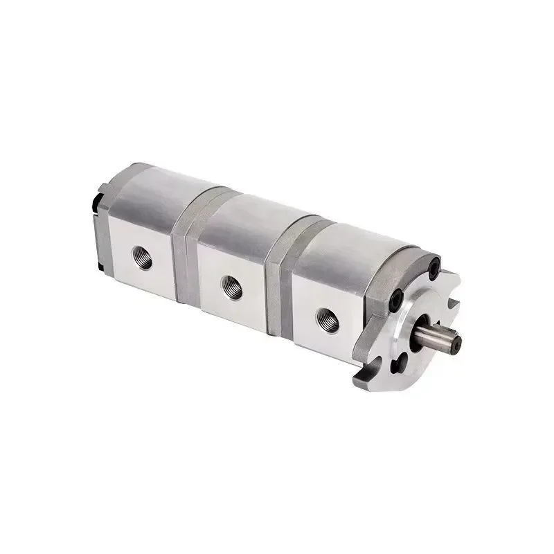 Custom Made 2-Stage High Pressure 200 Bar Tandem Gear Hydraulic Pump with 1 Year Warranty China