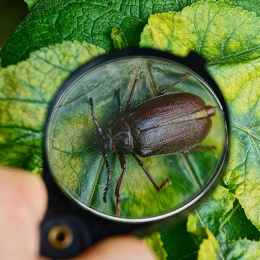 10 Stück 3D-Lupe Linse Physik Optisches Lehrmittel Experiment Lernhilfen
