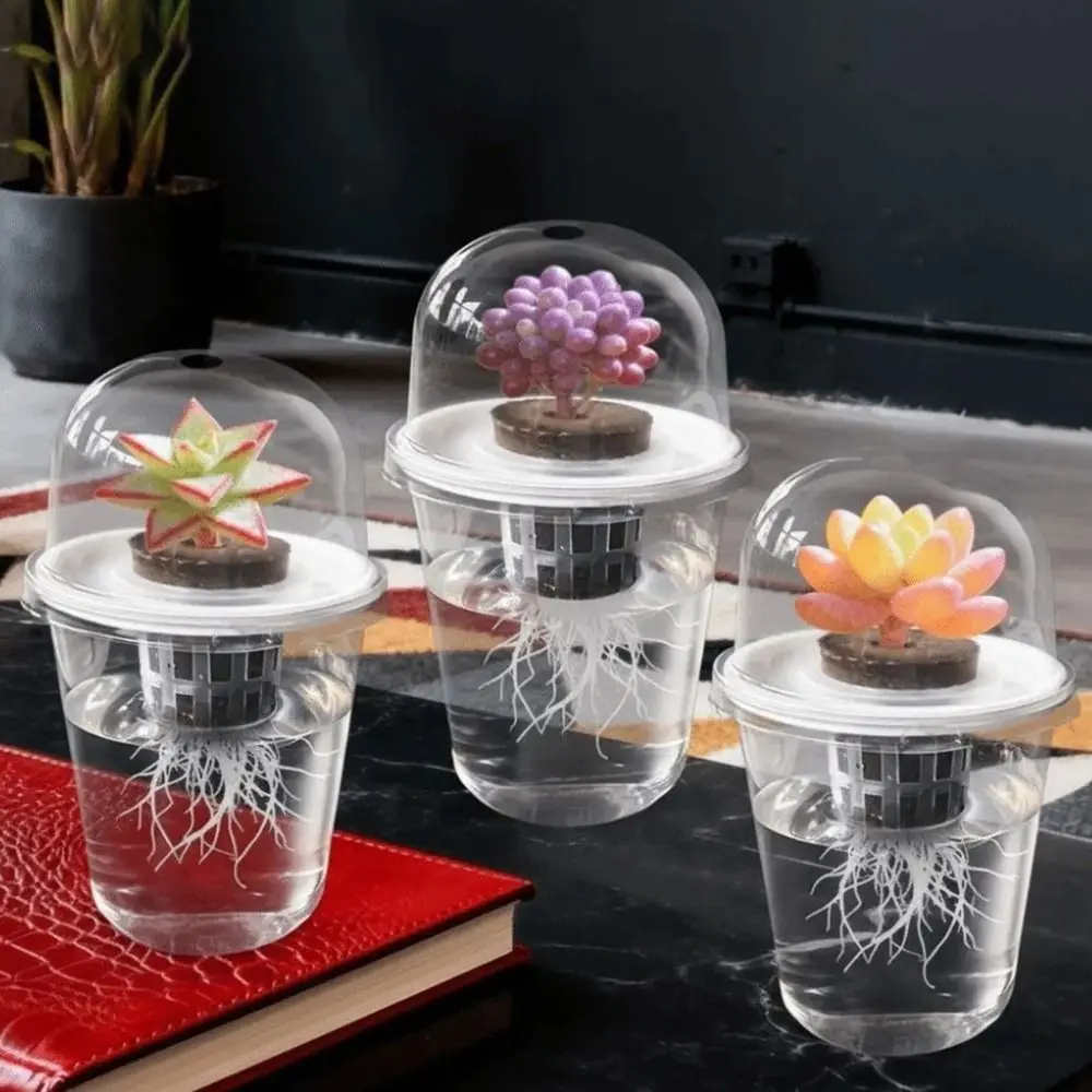 Plastic Root View Cups Visible Self Watering Hydroponic Planter Pots Transparent Cylindrical Planter Pots Observing Plant Roots