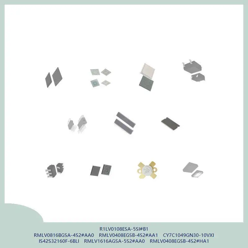 R1Lv0108Esa-5Si#B1 …