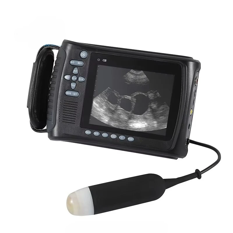 

Manufacturer Wholesale HY5533 Portable Bw Ultrasound System Veterinary Instrument with Handheld Scanner Portable Easy to Use