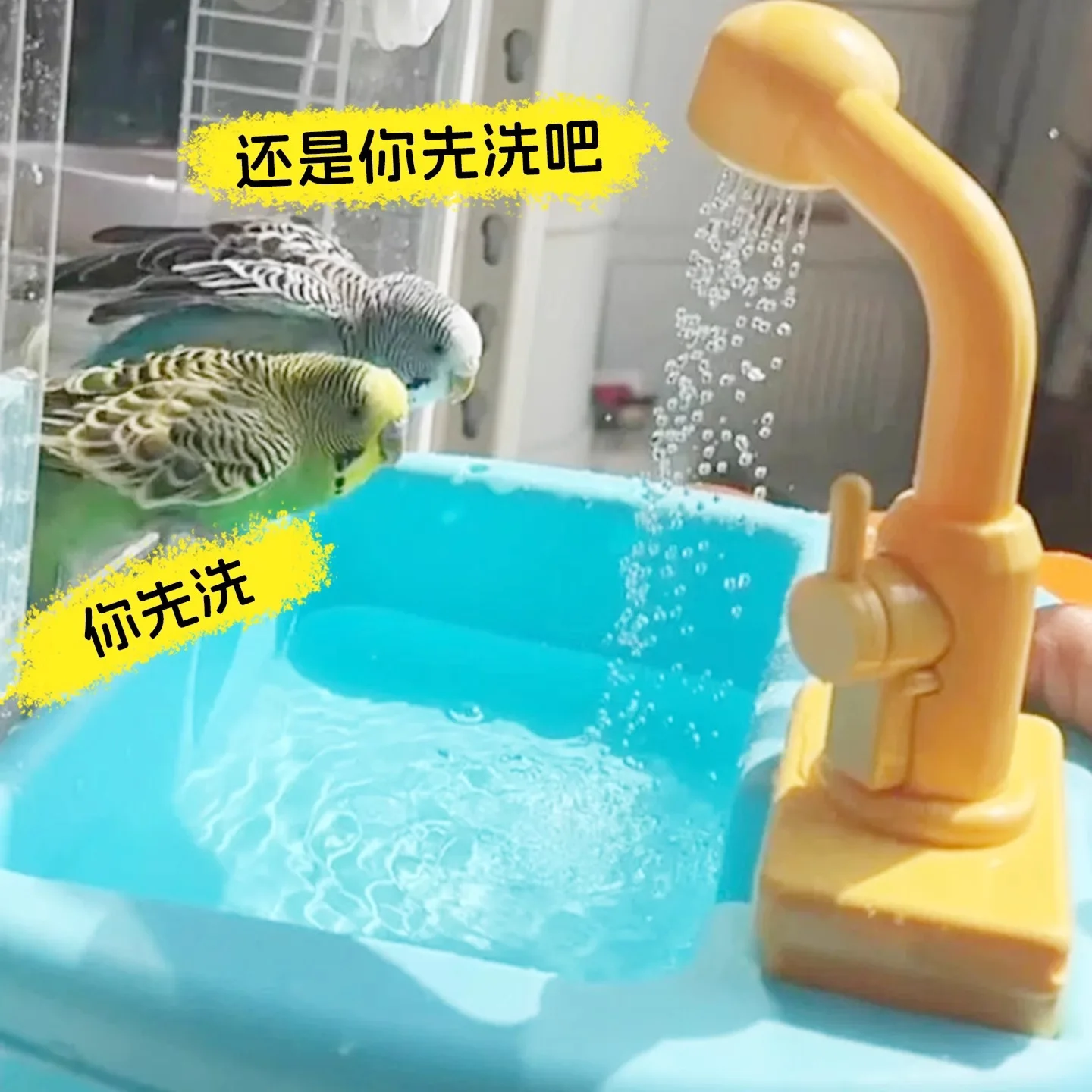 Multifunctional Shower Basin For Parrots Budgerigars Lovebirds Cockatiels; Bath Toy And Pet Supplies - view 3