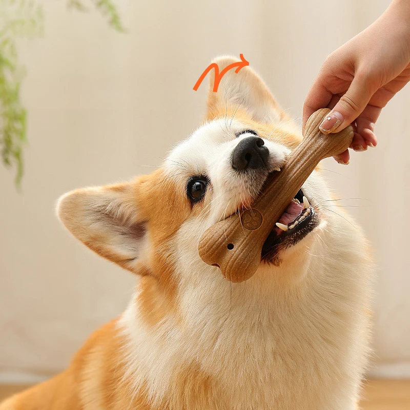 

Bite Resistant Pet Dog Chew Toys Molar Teeth Clean Stick Interesting Pine Wood Cute Bone Shape Durable Pet Accessories
