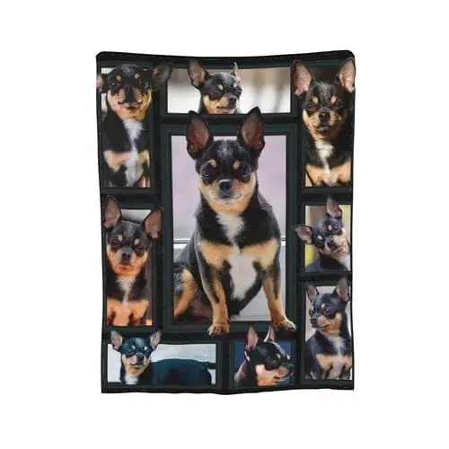 Chihuahua Dog Throw Blanket Christmas Birthday Gift for Girls Boys Soft Flannel Fleece Blanket for Couch Sofa ​Bed Home Decor