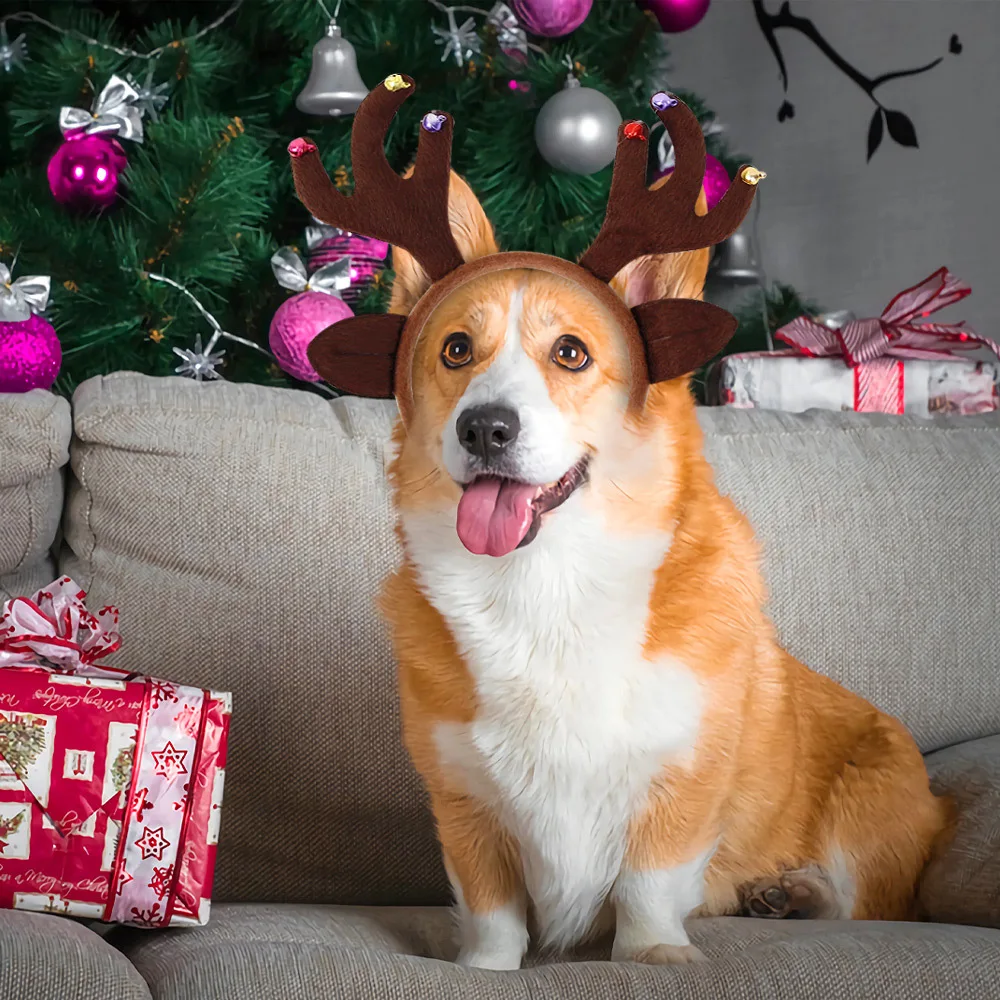 Christmas Antler Headband Dog Antler Headband Christmas Headwear for Puppy Reindeer Pet Costumes Accessories for Pets