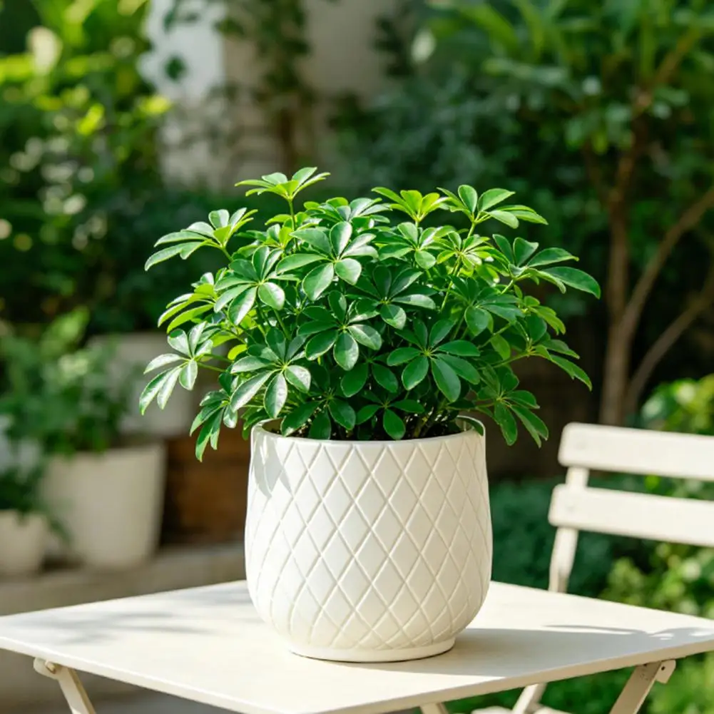 Creative Geometric Flowerpot Simple Succulent Plant Container Green Planters Small Bonsai Pots Home Decoration Plant Container
