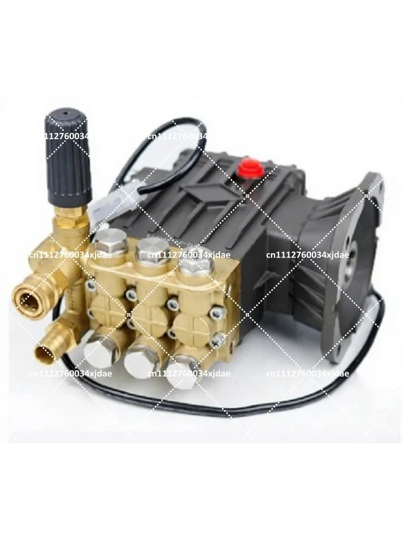 220V 3.3KW 3.9KW 4.5KW High Pressure Car Wash Pump Industrial Plunger Pump Cleaning Equipment