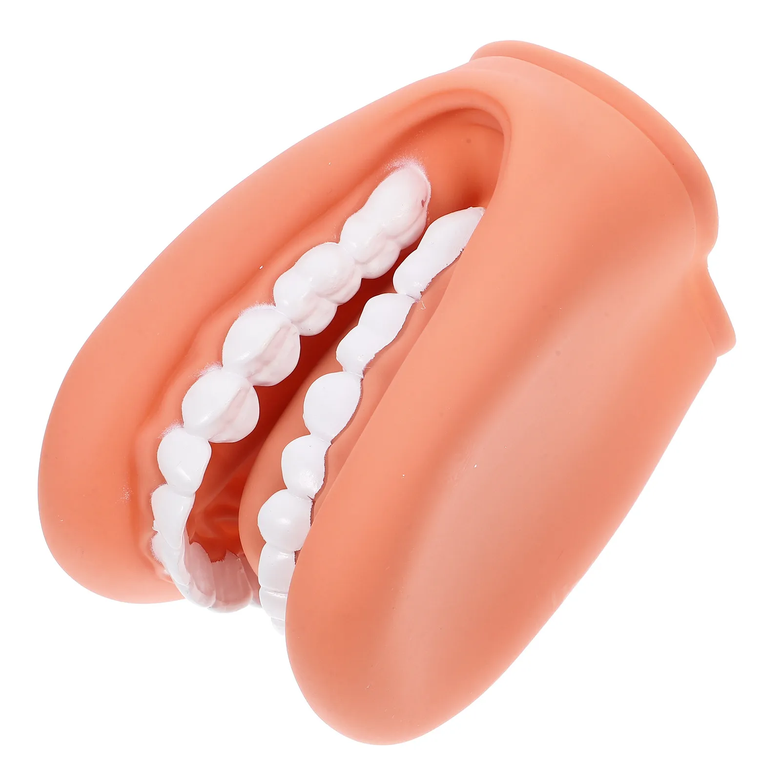 

Учебная модель искусственных зубов для демонстрации чистки и стоматологической практики