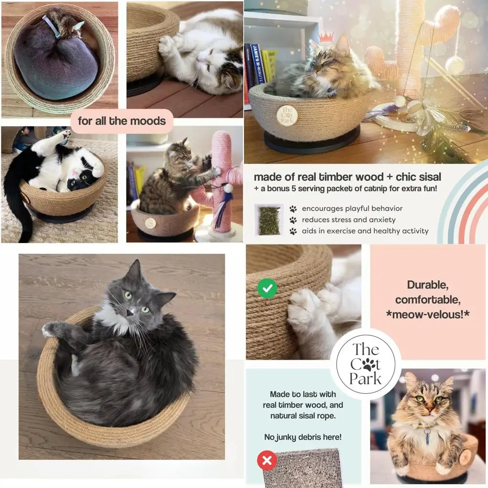 Da Bowl – 2-In-1 Si…