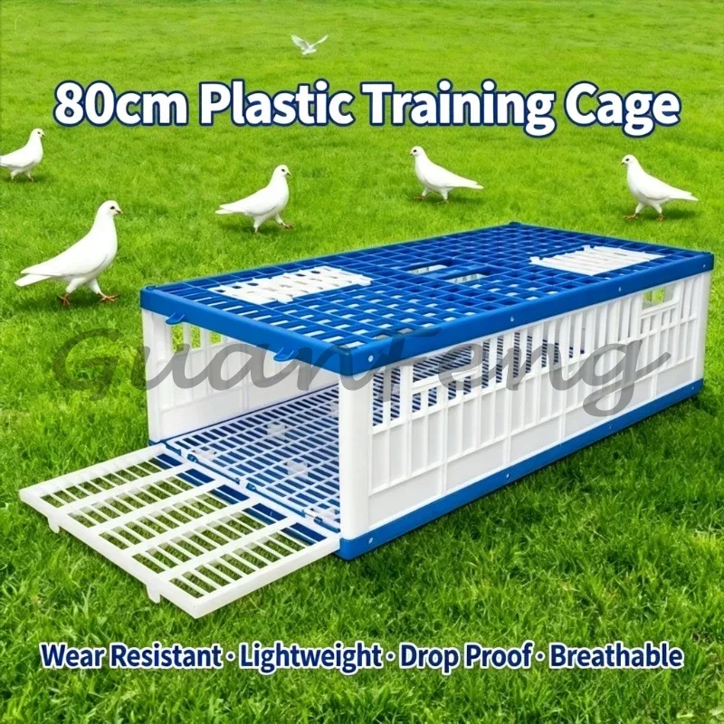 Foldable Plastic Pigeon Flight Cage, Training Transport Carrier, Beeding Supply for Pigeon Training & Moving