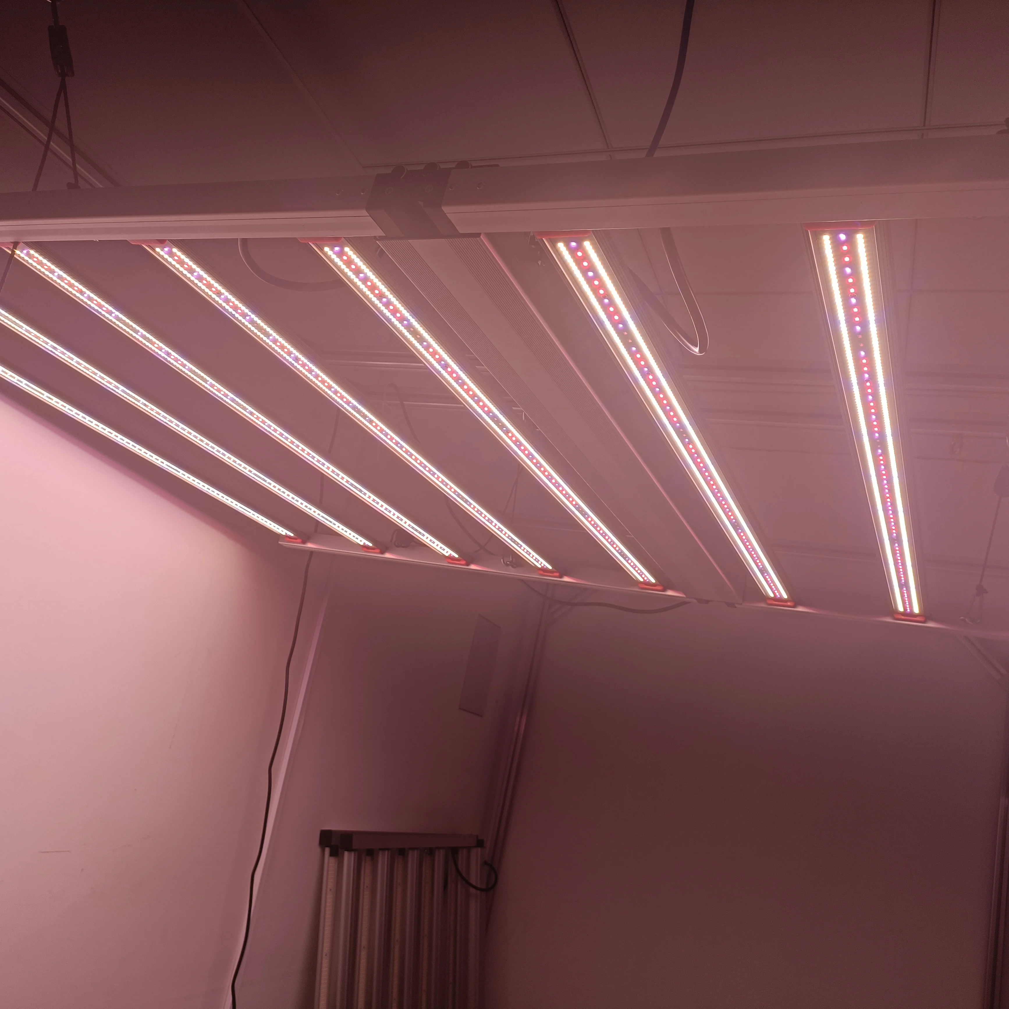 مصباح نباتات داخلية جديد من BA - مراجعة Led Grow Light Bar 640W وسعره