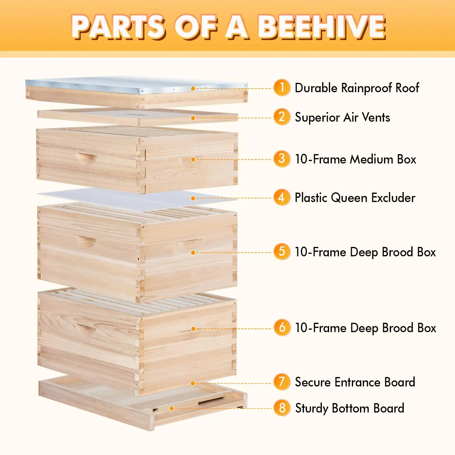 Free ShippingPOLLI Hive,10 Fe Hive Boxes Starter Kit, Stroth Hives Include 2 Deep Hive Boxes And 1 Medium Box, Include Hivs And