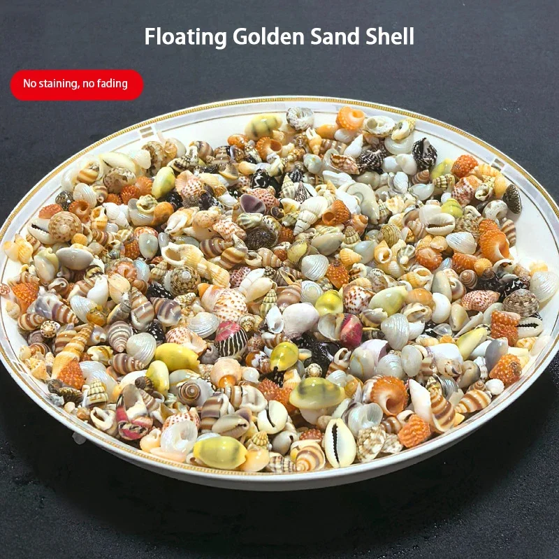 Mixed species of shells sold by pound, DIY desktop decoration, making drifting bottles