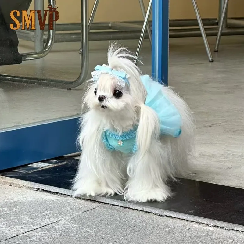 

Yorkshire Terrier Summer Dress Shih Tzu Summer Lightweight Lace Dress Small Breed Dog Dog Dresses