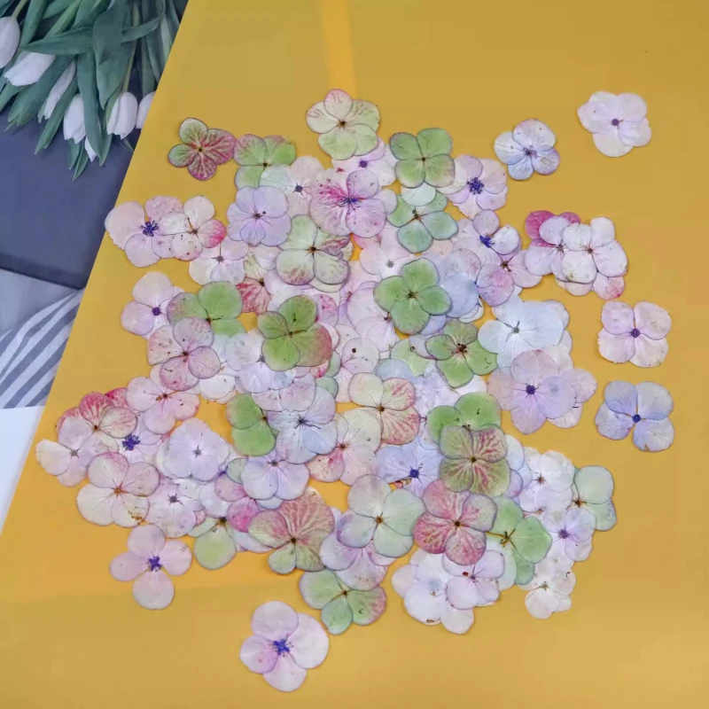 24 Stück, gepresste Hortensien im Monet-Stil – DIY-Schmuckzubehör aus getrocknetem Blumenharz, Blütenblatt-Fotorahmen und Handyhüllen-Bastelset – Detail 5