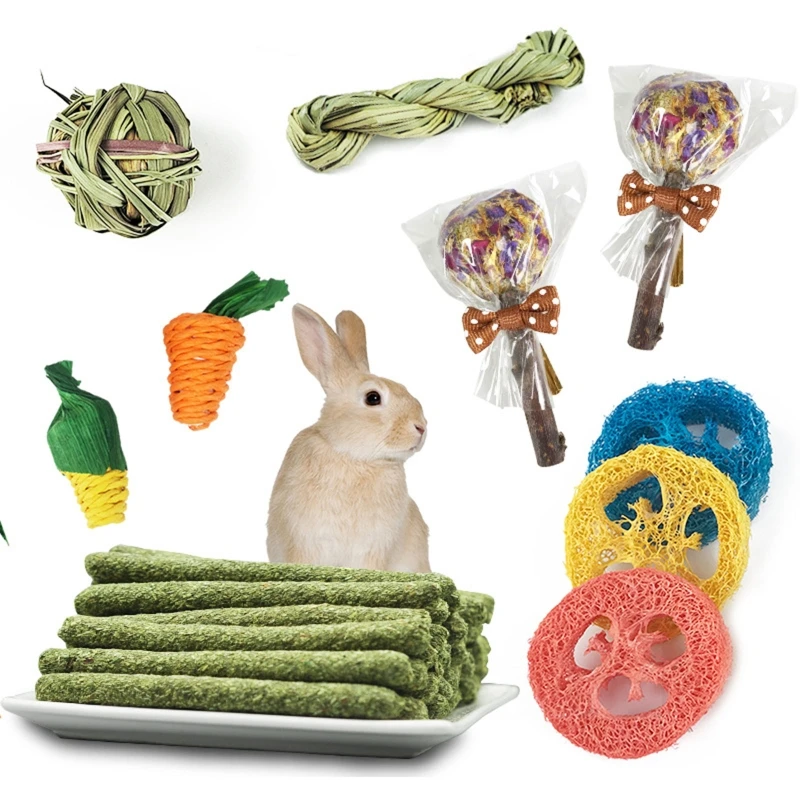 Rabbit Chewing Molar Natural Sticks Hamster Teeth Training Chinchilla Gerbil Bunny