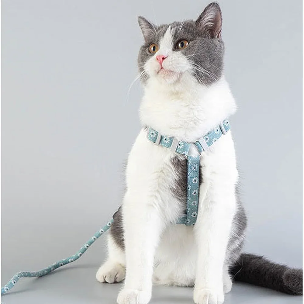 Adjustable Cat Harness Leash Escape Proof Kitten Dog Harness For Cat Small Dog Breathable Cat Harness Lead Leash Pet Accessories