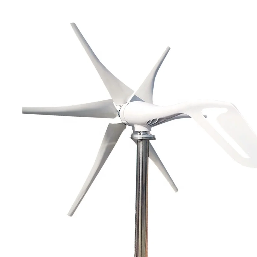 

Horizontal Wind Turbine Generator for Home 1kw 12v 24v CE SC 3 Phase Permanent Magnet Generator 6 Blades 20 Years