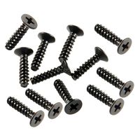 SST part 09143 Flat Head Screw 2.5x10mm 12P/1bag for Saisu 1/10 RC Car 1980 1980T2 1984 1984T2 1986 1986T2 1988 1988T2