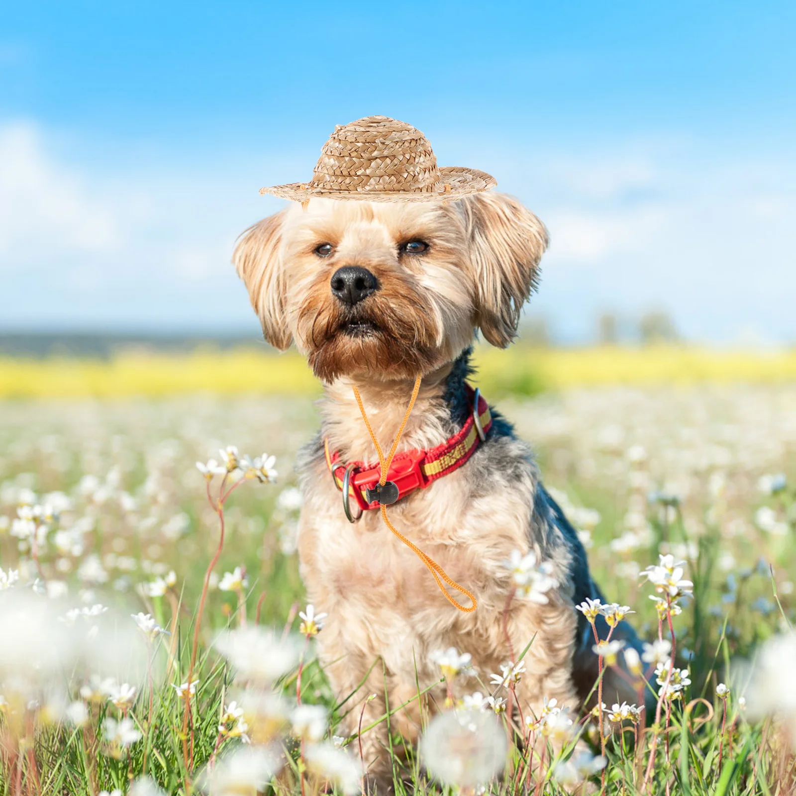 

Pet Straw Hat Adjustable Sombrero Size S Breathable Sun Shade Elastic Strap Hat for Small Dogs Cats Dog Hats Hats for Dogs