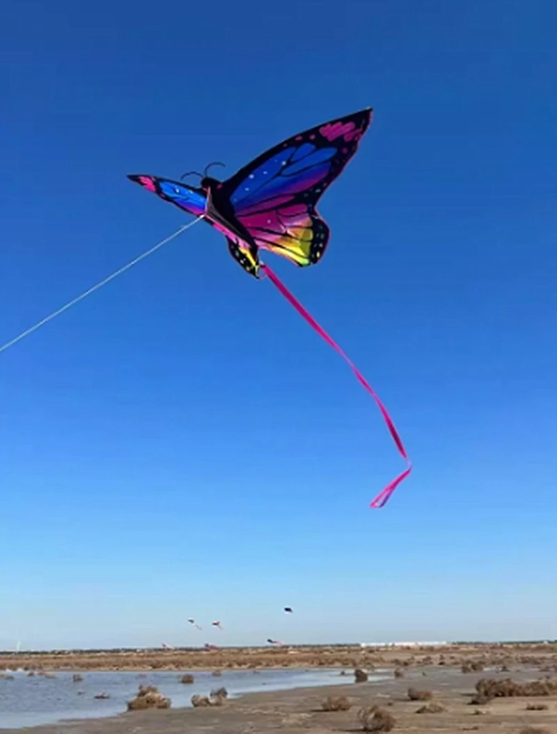 free shipping colorful butterfly kite kitesurfing full set outdoor toys steering kite Air bounce kite reel 3d kite  ripstop