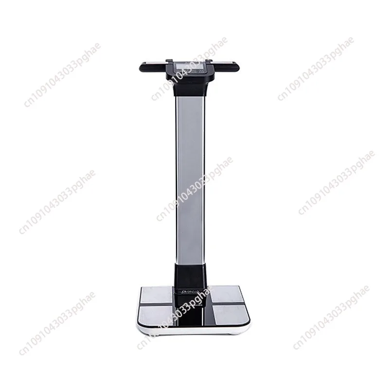 

I Body Composition Analyzer Clinical Body Composition Analyzer